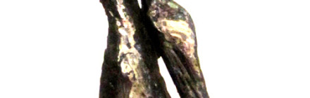 mehdi-yarmohammadi-12 mehdi-yarmohammadi-12