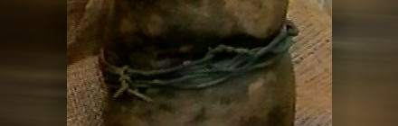 nt-art03 nt-art03